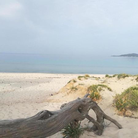 Casa Al Mare Con Giardino Villa Alghero Eksteriør bilde