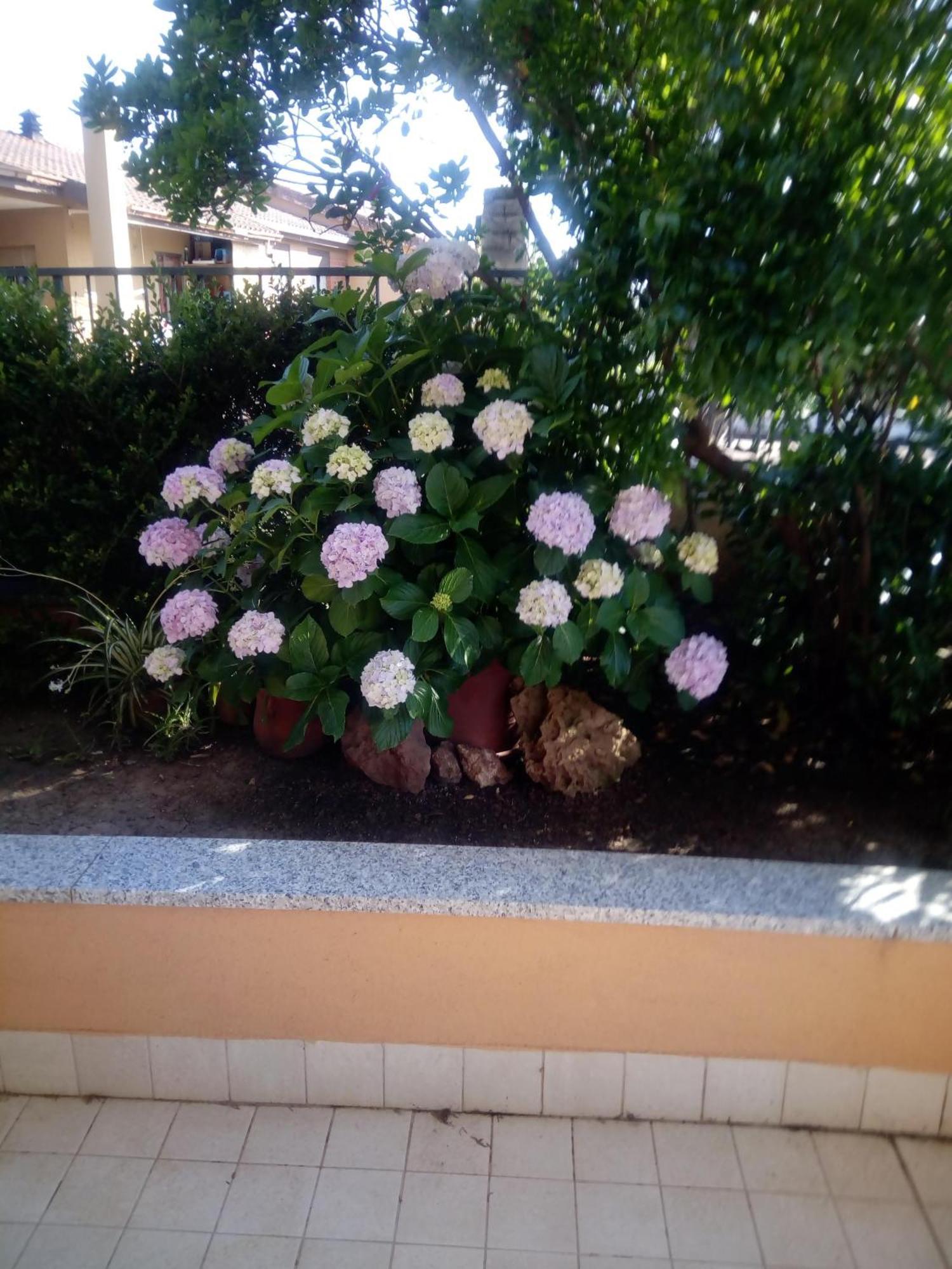 Casa Al Mare Con Giardino Villa Alghero Eksteriør bilde